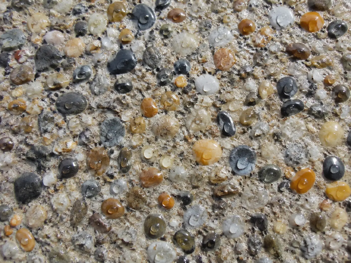 Polished river pebbles and quartz chips exposed in the cement matrix of a driveway